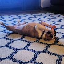 Thumbnail photo of Happy #3