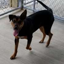 Thumbnail photo of Sheena #2