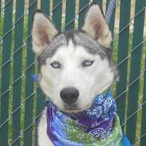 Thumbnail photo of SKY #2