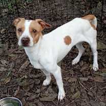 Thumbnail photo of Darla #1