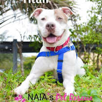 Thumbnail photo of Titan #1