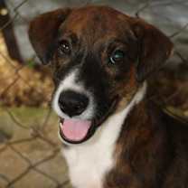 Thumbnail photo of ALEXANDER ! #3