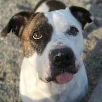 Thumbnail photo of Jorja #1