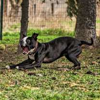 Thumbnail photo of Anna #3