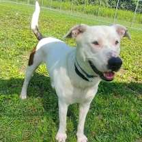 Thumbnail photo of Orion #2