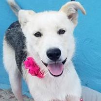 Thumbnail photo of Beth #2