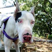 Thumbnail photo of Ireland #2