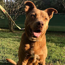 Thumbnail photo of Ridge #1