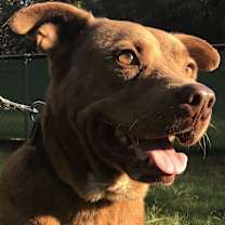 Thumbnail photo of Ridge #2