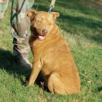 Thumbnail photo of Ridge #3