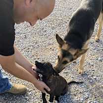 Thumbnail photo of Lucky #2