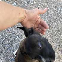 Thumbnail photo of Lucky #3