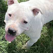 Thumbnail photo of Snow #1