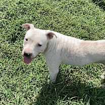 Thumbnail photo of Snow #2