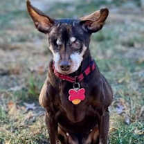 Thumbnail photo of Pebblez â Sweet Little Princess #2