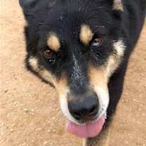 Thumbnail photo of Hunter #3