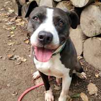 Thumbnail photo of Pascal Clayton #3