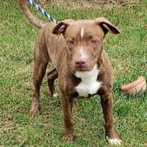 Thumbnail photo of Ivan #1