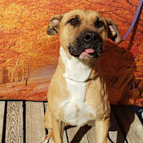 Thumbnail photo of Quinn #2