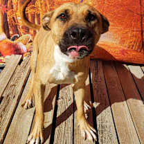 Thumbnail photo of Quinn #3