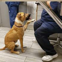 Thumbnail photo of Quinn #4