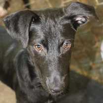 Thumbnail photo of ASHLEY OLSEN #1