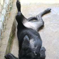 Thumbnail photo of ASHLEY OLSEN #2