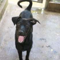 Thumbnail photo of ASHLEY OLSEN #3