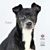 Thumbnail photo of Pocket #1