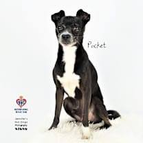 Thumbnail photo of Pocket #2