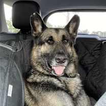 Thumbnail photo of Matthias #1