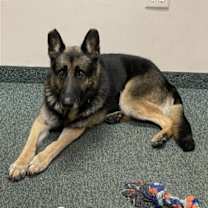 Thumbnail photo of Matthias #2