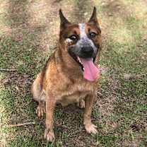 Thumbnail photo of Jake #3