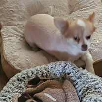 Thumbnail photo of Omar #2