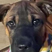 Thumbnail photo of Otto #2