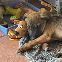 Thumbnail photo of Otto #4