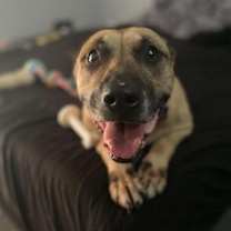 Thumbnail photo of Hope #3