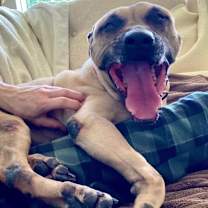 Thumbnail photo of Hope #4