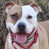 Thumbnail photo of Jack #1