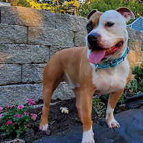 Thumbnail photo of Jack #3