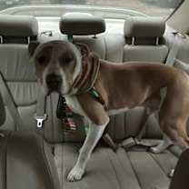 Thumbnail photo of TODD #2