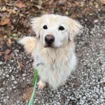 Thumbnail photo of Vance #2