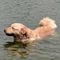 Thumbnail photo of Millie #3