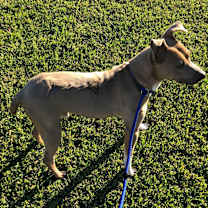 Thumbnail photo of BRINKS #3