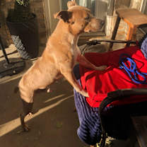Thumbnail photo of BRINKS #4