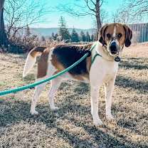 Thumbnail photo of Duke #3