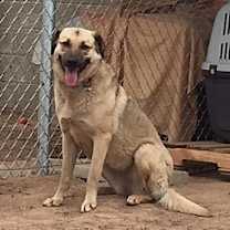 Thumbnail photo of Lady #1