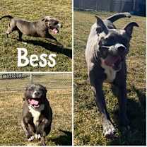 Thumbnail photo of Bess #1