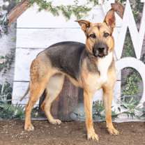 Thumbnail photo of Harvest #1