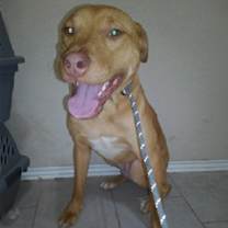 Thumbnail photo of Tex #1